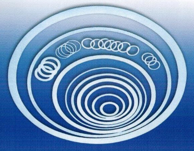 聚四氟乙烯密封件墊片